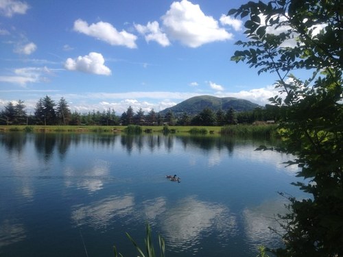 bob_the_butch3r's profile picture. 