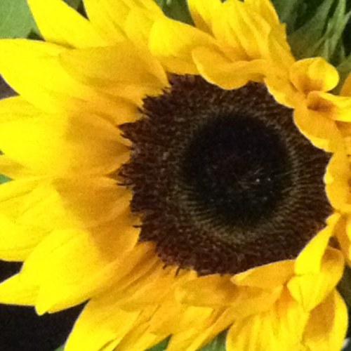 Martin_Copson's profile picture. Socialist, Activist & Trade Unionist