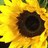 Martin_Copson's profile image