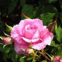 Leanna  Hebert - @LeannaHebert - Twitter