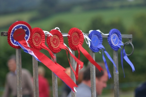 Annual Agricultural Show & Monthly Farmers' Market. Join us every last Sunday of the month (market) & August Bank Hol Sunday (show) for a great day.