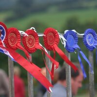 Llangynidr Show (@llangynidrshow) 's Twitter Profile Photo