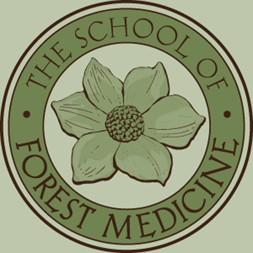 forestmedicine's profile picture. The School of Forest Medicine provides many ways to explore the relationships between humans and plants.