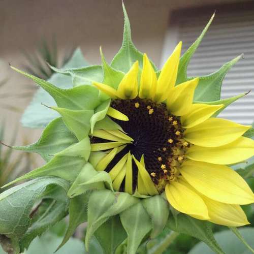 IfUSeeKelliRae's profile picture. Mom, Mother-in-law, Memé to Noah and Owen. Planner obsessed, binge watcher, reader of rock docs and anything mob related. Love the Mike Calta show.