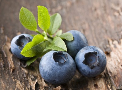 The Superfruit that's economical too!  Follow us if you eat blueberries for health, or just because you love their taste!