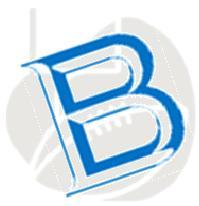 Official Twitter account of Bledsoe Little Blue Football and Cheerleading