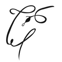 ValleyShepherdCream (@curdiologist) Twitter profile photo