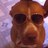 sumo1982's profile image