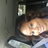 mussy82's profile image