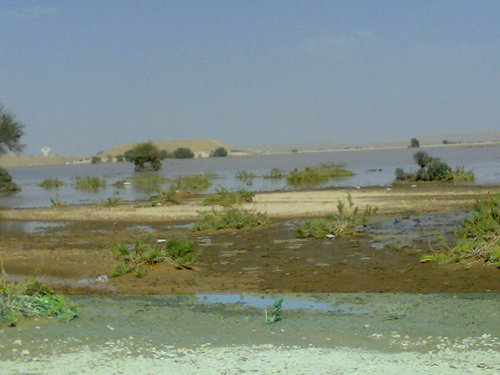 112_b's profile picture. 