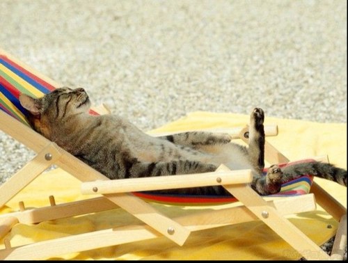 vacancesnonukes's profile picture. 原発がストップしたら夏の電力はどうなるの？→バカンスで産業用の電力消費を抑えれば解決じゃん？という画期的な解決策を広げるためにつぶやきます。