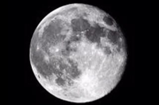 iveroelizondo's profile picture. 