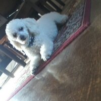 Sobis (@tobi_revolts) 's Twitter Profile
