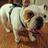 Ernest Bothwell (@ernwell) Twitter profile photo