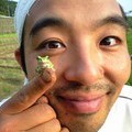 有機農家。新規就農早15年。農薬化学肥料を使わずに旬の露地野菜とお米を育てて福岡市内に配達しています。