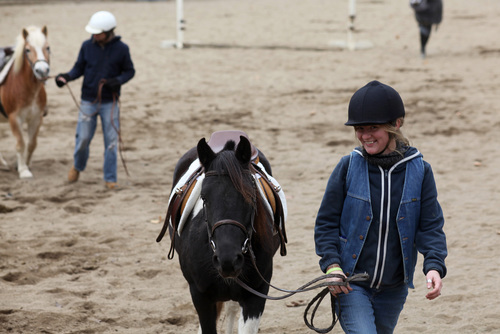 John and Josh Lyons Certified Trainer shaping horses, ponies, and long ears through patience, purpose and practice.