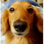 やっほい！相互フォローOK。
世界の〇