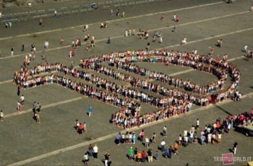 rocroya1's profile picture. Hi im Brooke and i just turned 16 and i love 1D and i have the biggest crush on Harry Styles!!:)