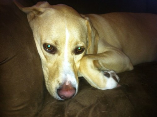 pjwendt's profile picture. 