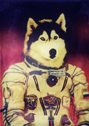 AstronautHund's profile picture. Ich bin für die @AstronautKatze sucht... Unfinished Business #Rock \m/ #Metal