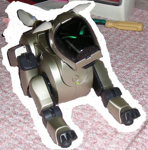 頭の中・心の中・生活の様をつぶやいてください。喜び・悲しみ・怒り、苦しみ、胸中を吐露してください。幸福でない人に共感したい。