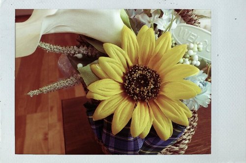 SO321RA's profile picture. 飲んで食べて騒いで！毎日をどう楽しむかヾ(*´∀｀*)ﾉ