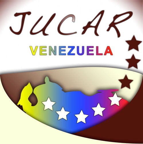 Somos uno de los movimientos Juveniles del Carmelo Venezolano!