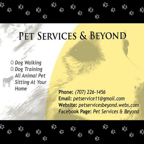 We are a local (Napa Valley) all animal pet sitting and dog walking business!