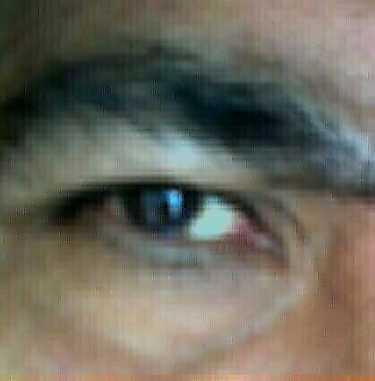 guixold's profile picture. 