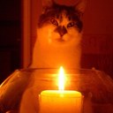 Helen Walton - @helenwalton21 - Twitter