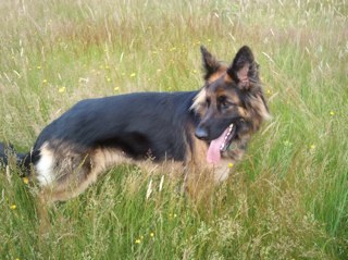 jusdndy's profile picture. 