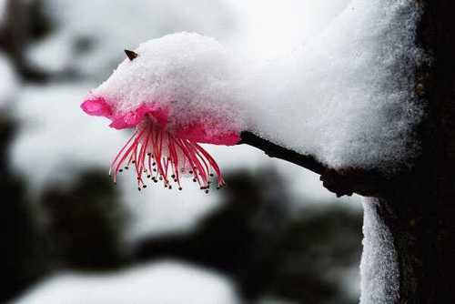 zop009's profile picture. 난!나야.. 一切唯心造.. 낚시.. 바이크.. 잡놈...상식이 통하는 세상에 살고픈ᆢ