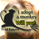 Co-run Wild Futures Trading; sells ethically produced giftware & runs brilliant veggie/vegan cafe. All profits go to charity @wildfutures #MonkeySanctuary.I #FB