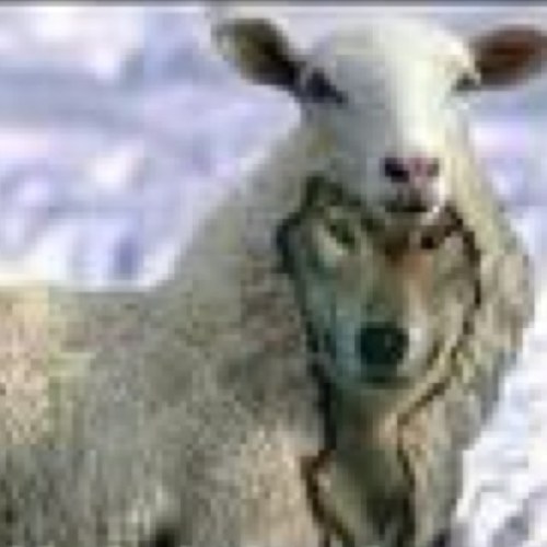 IvanGVillacorta's profile picture. Hey Motherfucker, The King is back!