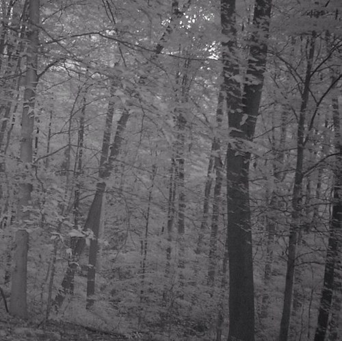 ajfatrooster's profile picture. 