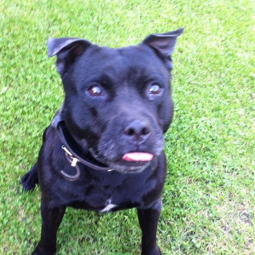 SkeldingJustin's profile picture. W.B.A supporter,🇬🇧🇬🇧🇬🇧🇬🇧🇬🇧🇬🇧🇬🇧🇬🇧🇬🇧🇬🇧🇬🇧🇬🇧🇬🇧🇬🇧🇬🇧🇬🇧🇬🇧🇬🇧🇬🇧🇬🇧