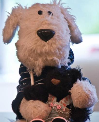 fuzzyFreya's profile picture. Stepping into the BIG footprints of little Mookie @schnille. My brother @i_am_fuzzy sent me to Cologne to live with his mum! @MonkeysBrother is my darling!