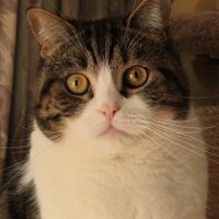 ばっかふ (@backus0416) 's Twitter Profile