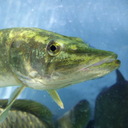 John Sutton - @JohnSut18108564 - Twitter