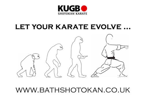 Helping your karate evolve, one punch at a time!