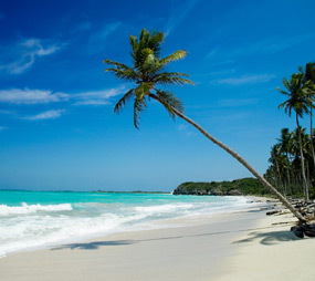 Inselreise's profile picture. Traumreisen zu Inselparadiesen auf der ganzen Welt