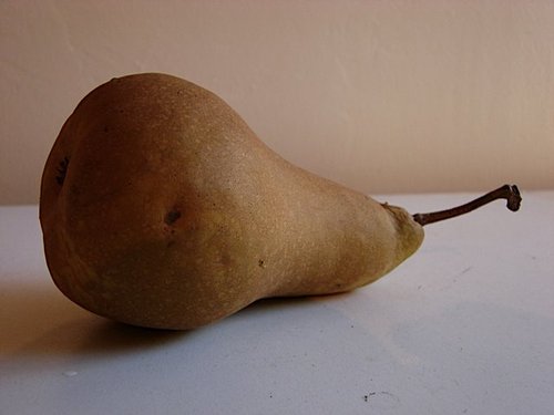 jrzgurl's profile picture. Hello! Artist and online marketer located in NJ