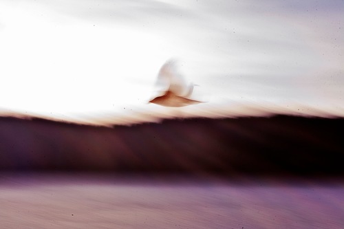 islamgabi's profile picture. 