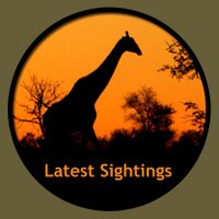 Latest Sightings (@latestsightings) 's Twitter Profile