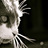 catsmew69's profile image