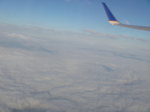 marfifeo's profile picture. 