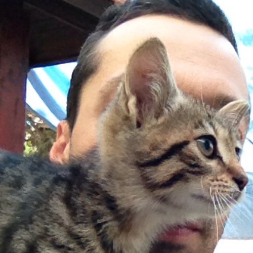 zandymangold's profile picture. Photographer and Ultrarunner...
Hammer Nutrition Sponsored Athlete and Hoka One One Flyer