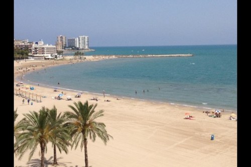 plsomeonehelpme's profile picture. 