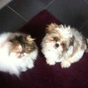 David Pierrepont - @davidpierrepont - Twitter