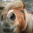 Reneevdw_'s profile image